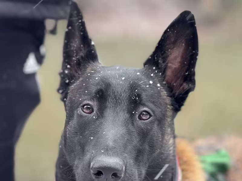 Cover image for TikTok Reel 