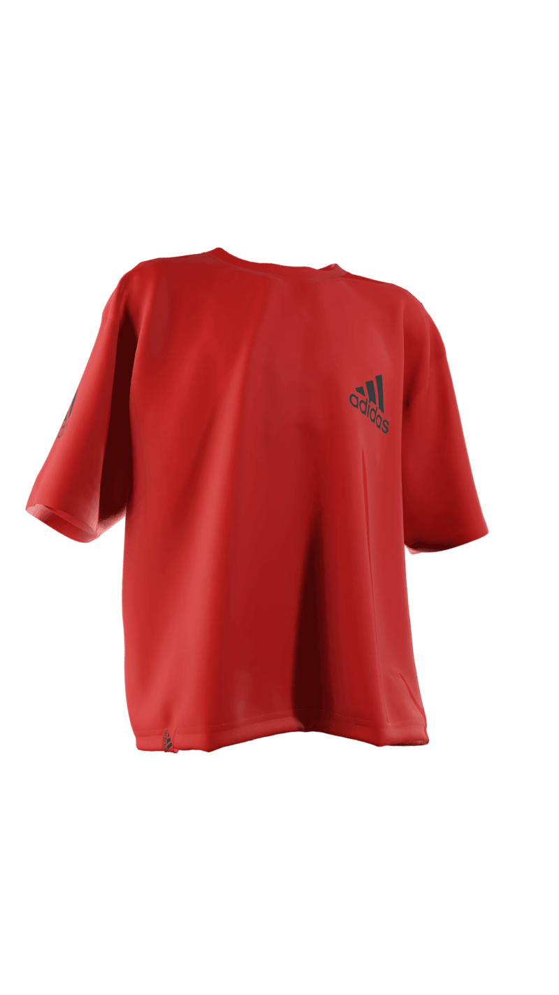 Cover image for Realistic Apparel Design