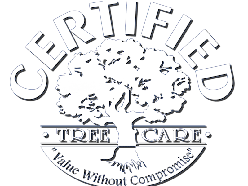Cover image for Certified Tree Care - Branding, Web Design & Email Marketing