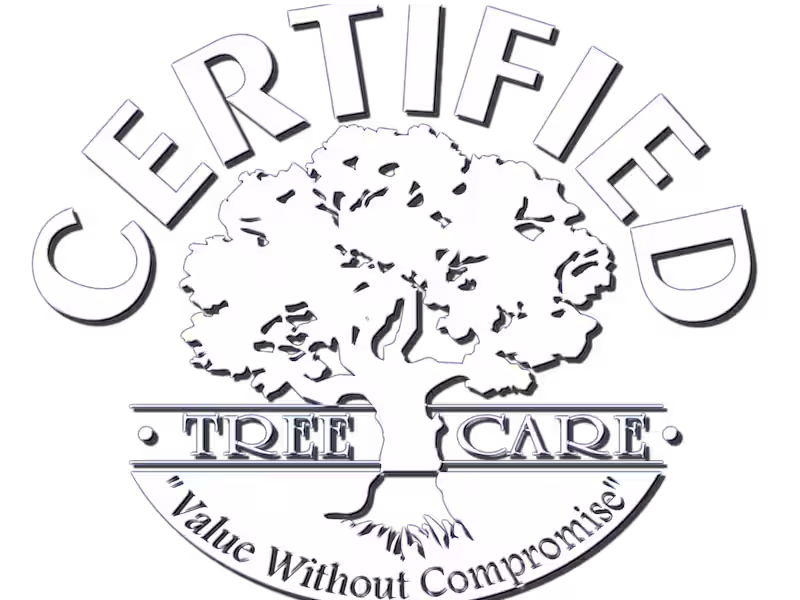 Cover image for Certified Tree Care - Branding, Web Design & Email Marketing
