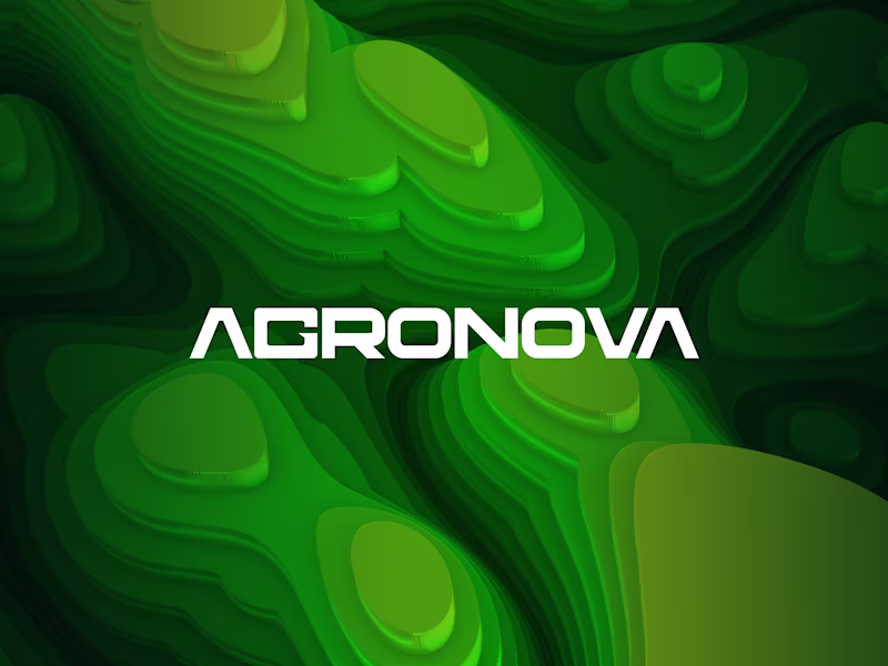 Cover image for Brand Identity Design