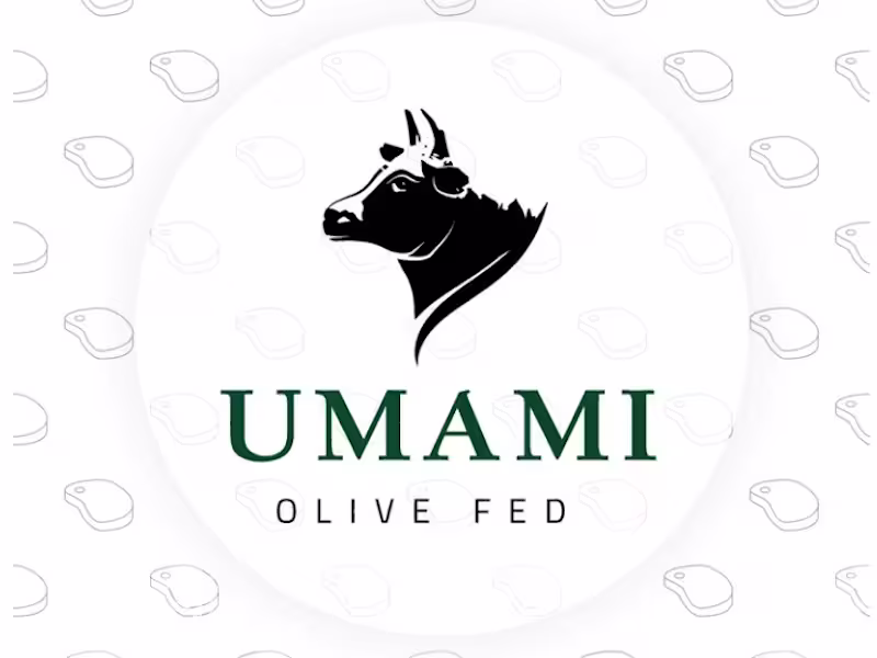 Cover image for E-commerce Mobile Application