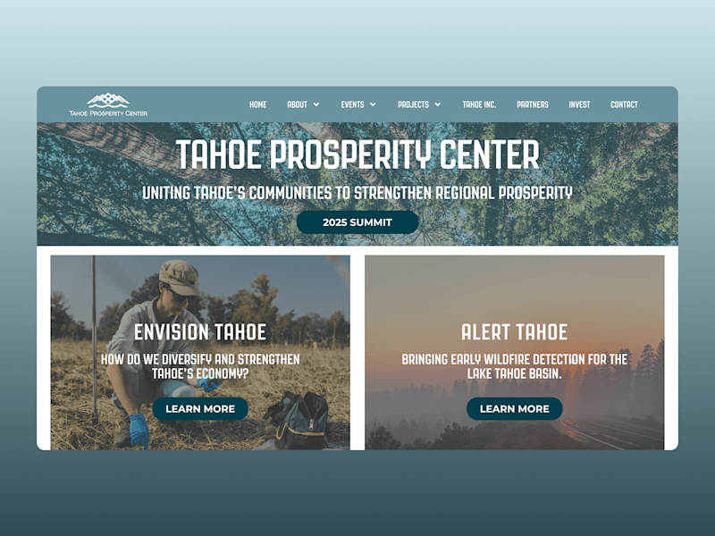 Cover image for Tahoe Prosperity Website Revamp & Maintenance