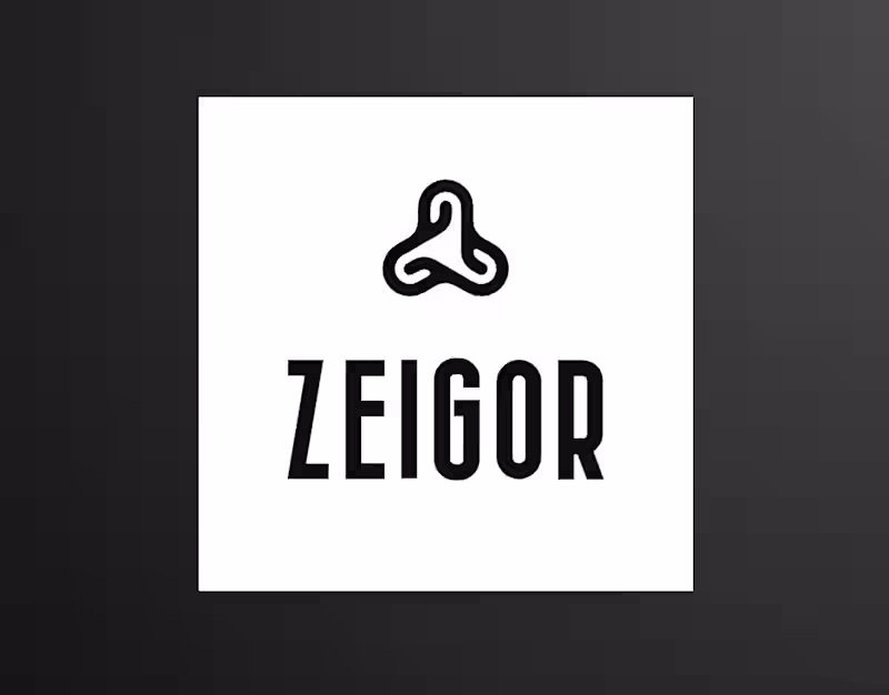Cover image for Zeigor - logo design