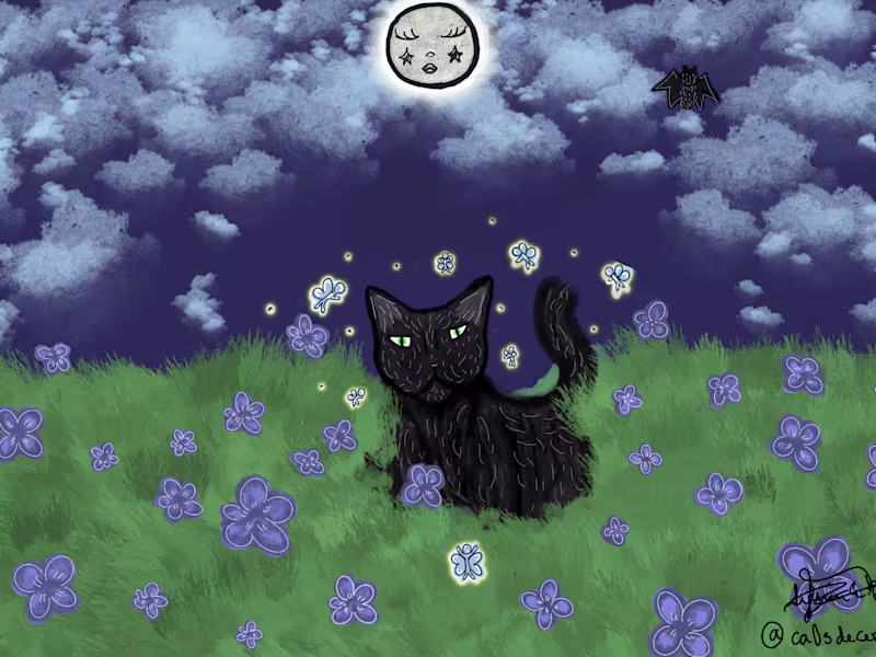 Cover image for Whimsy portraits 