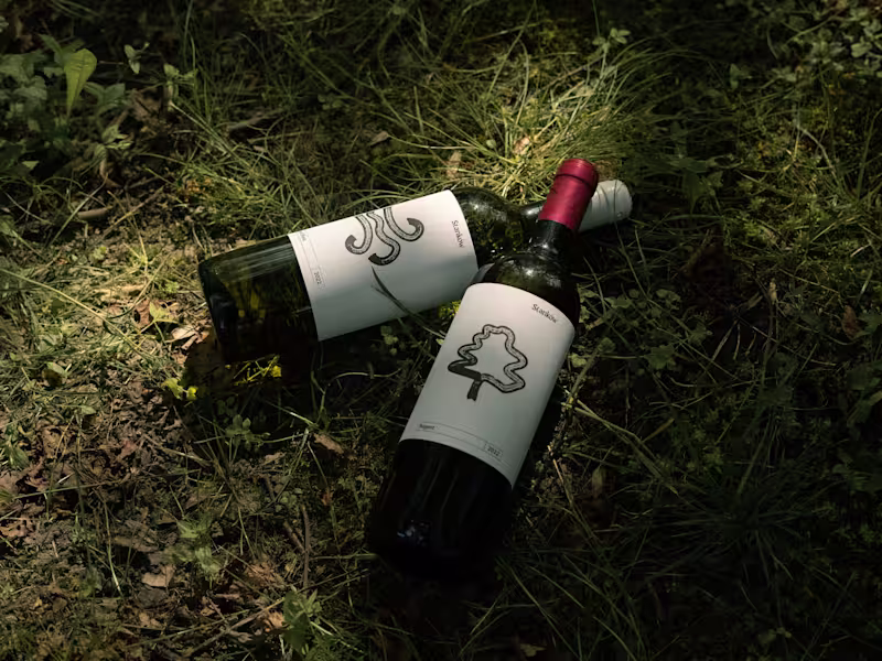 Cover image for Winery Stanków branding