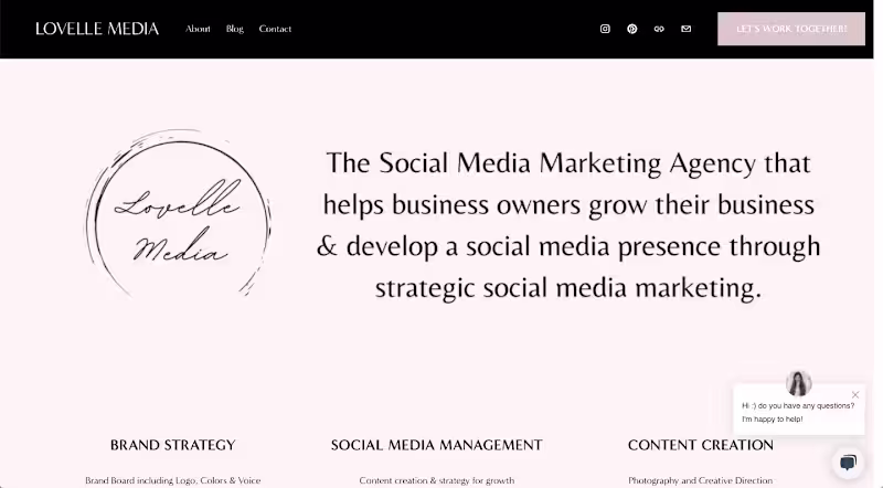 Cover image for Lovelle Media