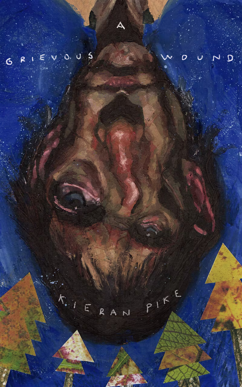 Cover image for A Grievous Wound