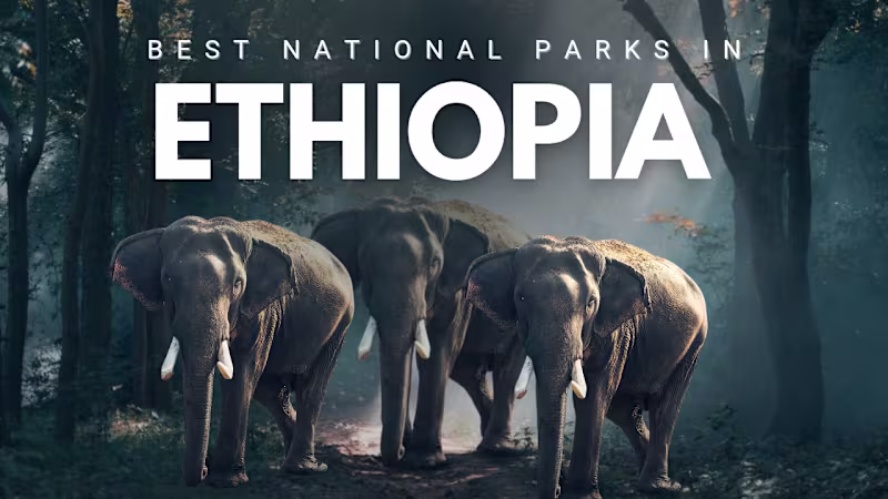 Cover image for Professional Graphic Design & High-Quality Document Formatting