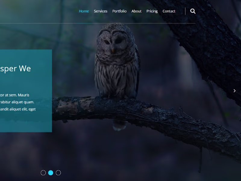 Cover image for omar-elshamy911 - Overview