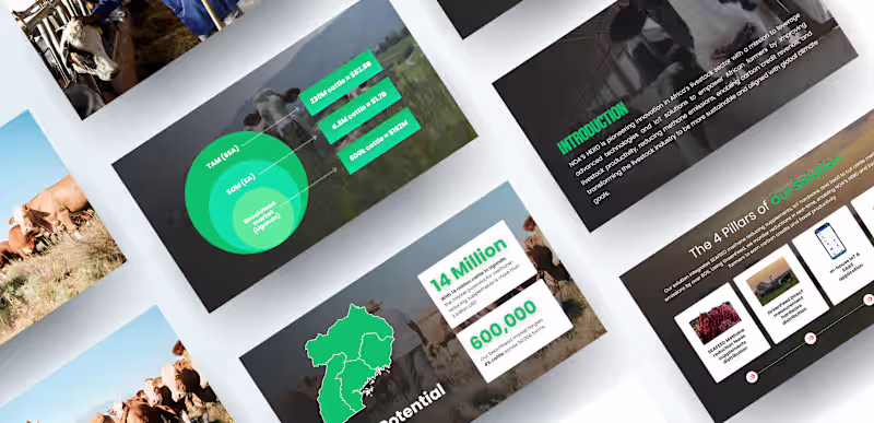 Cover image for NOA’S HERD Strategic Pitch Deck Development