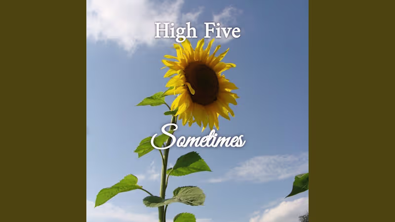 Cover image for Sometimes - High Five
