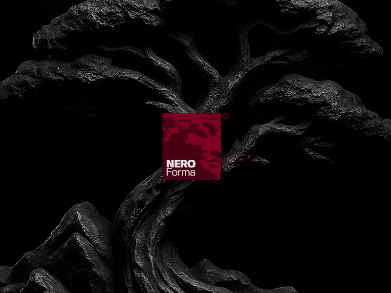 Cover image for Visual Identity for NEROForma