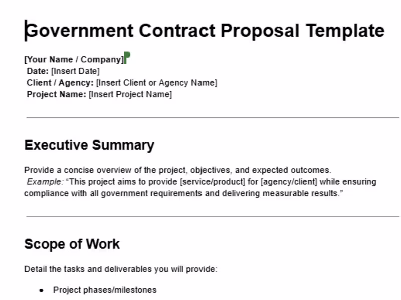 Cover image for Sample: Government Contract Proposal
