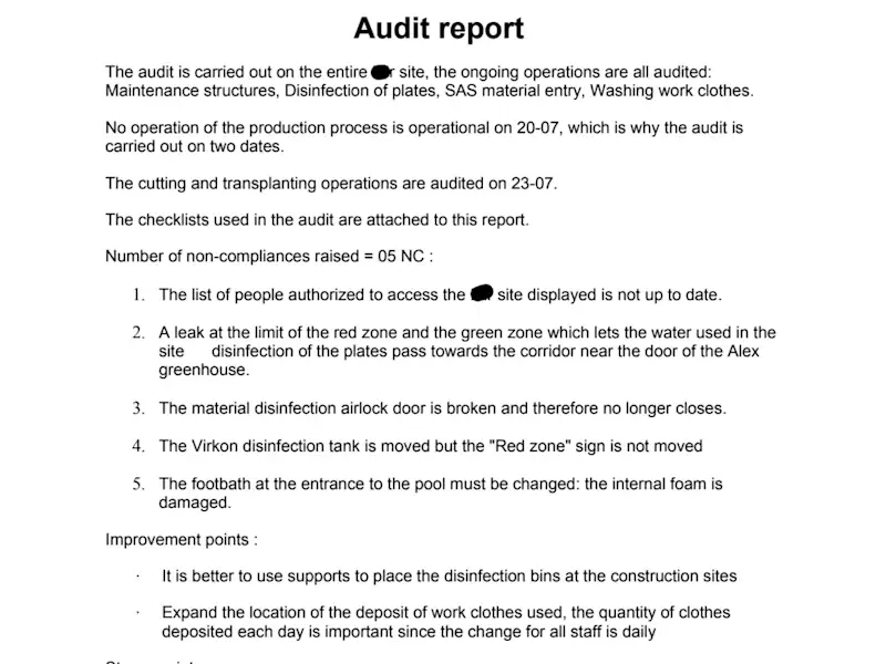 Cover image for Audit Report