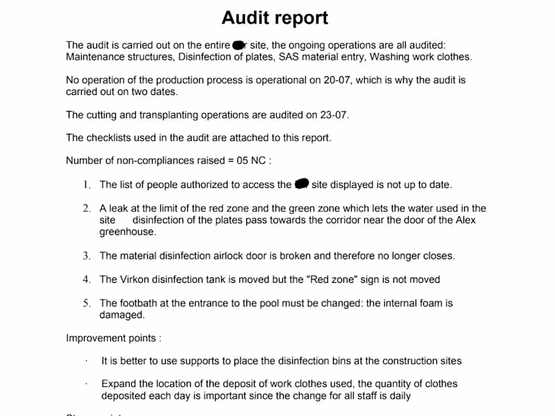 Cover image for Audit Report