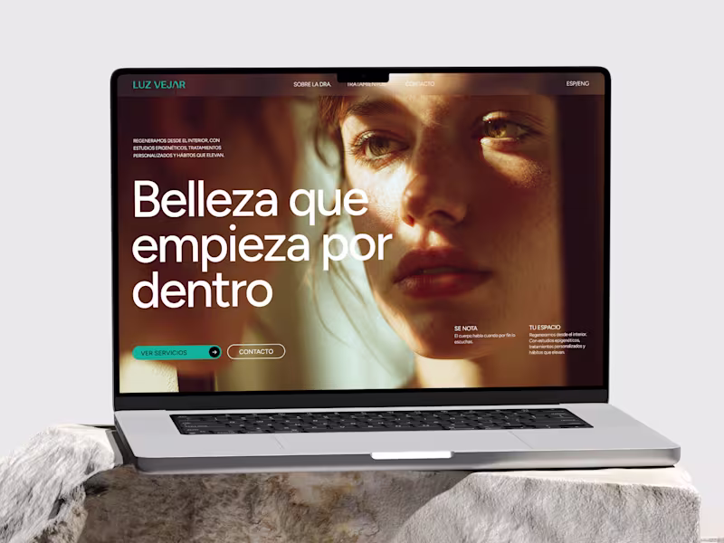 Cover image for Luz Vejar