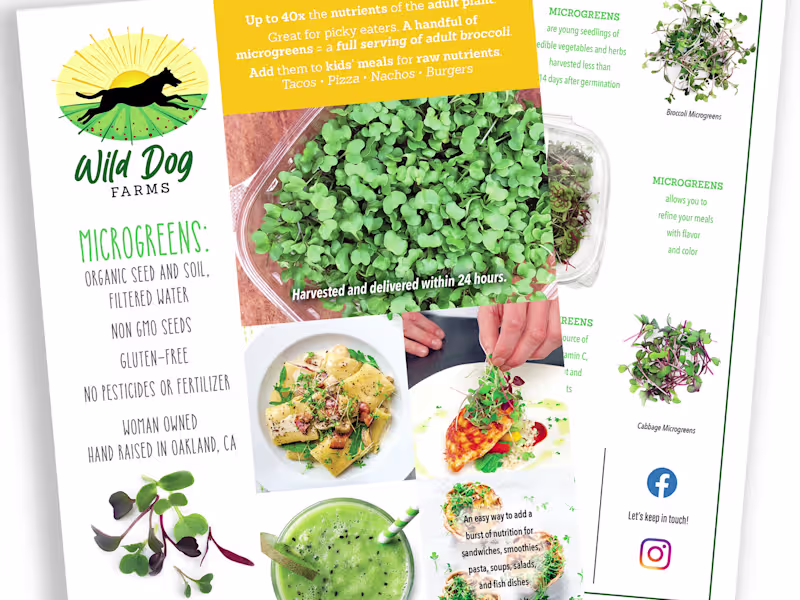 Cover image for Design a flyer or sell sheet