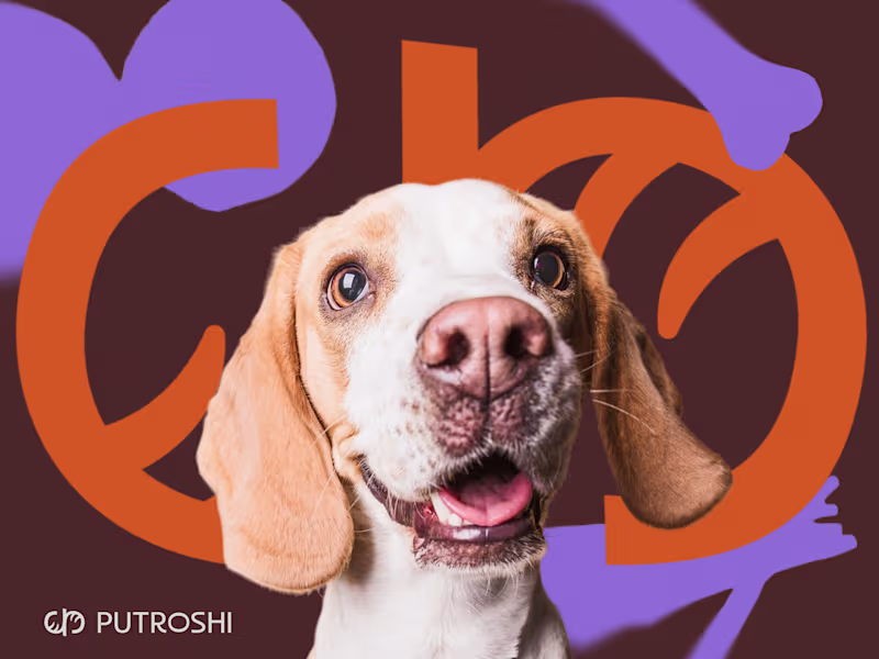 Cover image for Putroshi Petshop — Logo and Visual Identity