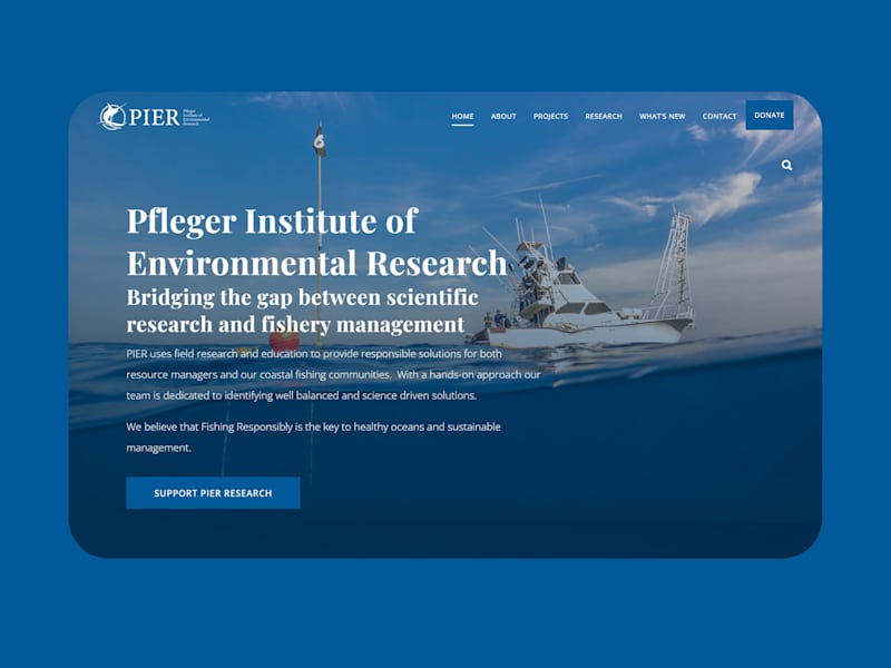 Cover image for WordPress Template Website Redesign for Research Facility