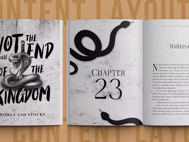 Cover image for Book Designer