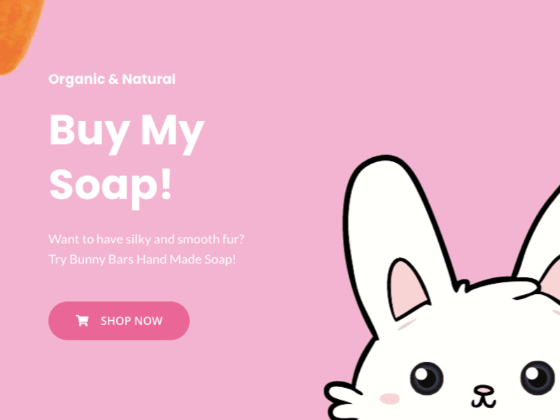 Cover image for Graphic Design For Bunny Bars