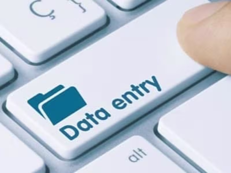 Cover image for Portfolio: Data Entry with Paralegal services