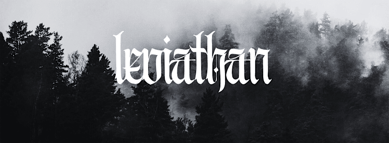 Cover image for Leviathan Clothing Brand
