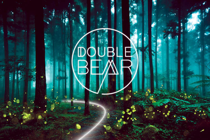 Cover image for DOUBLE BEAR