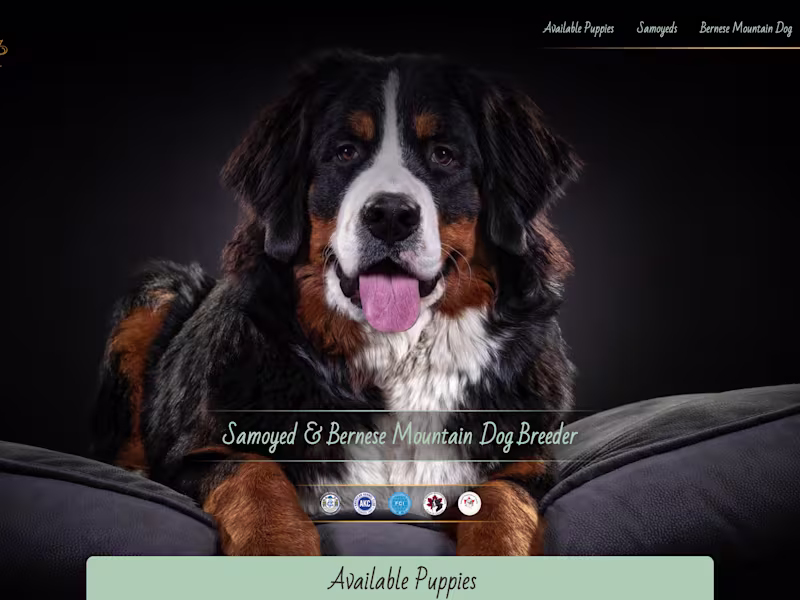 Cover image for Professional Dog Breeder CMS Webflow Site