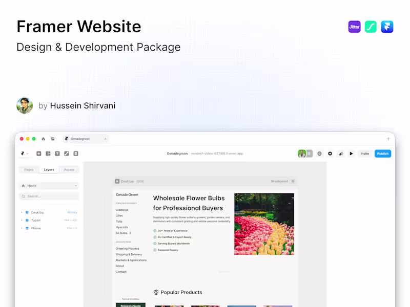 Cover image for Framer Website Design and Development Package
