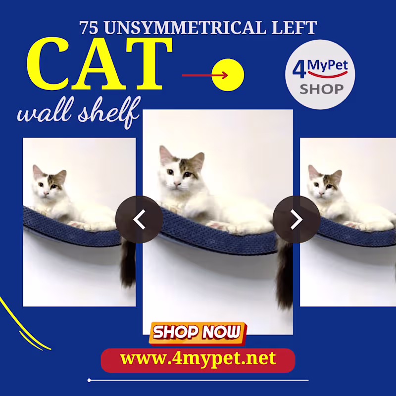 Cover image for Instagram Designs