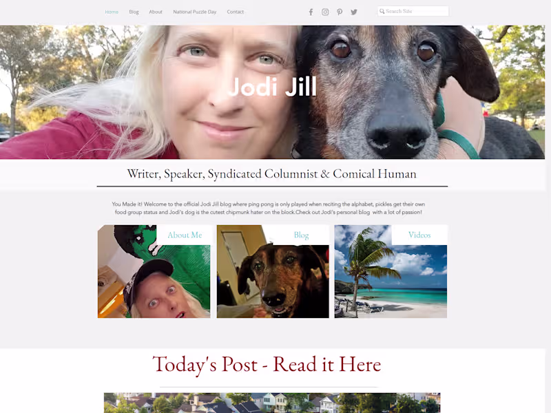 Cover image for Design & Development of Wix website