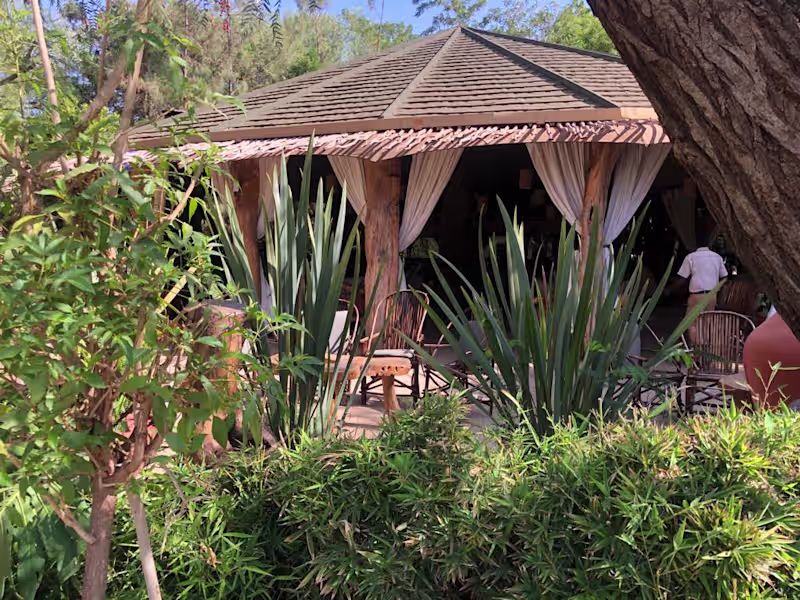Cover image for Kibo Safari Camp