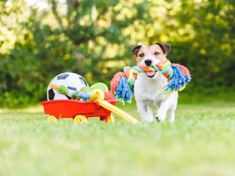 Cover image for Pet Bed Product Description