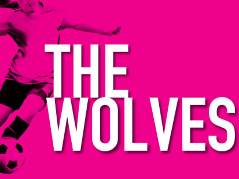Cover image for Dramaturgical Research | The Wolves