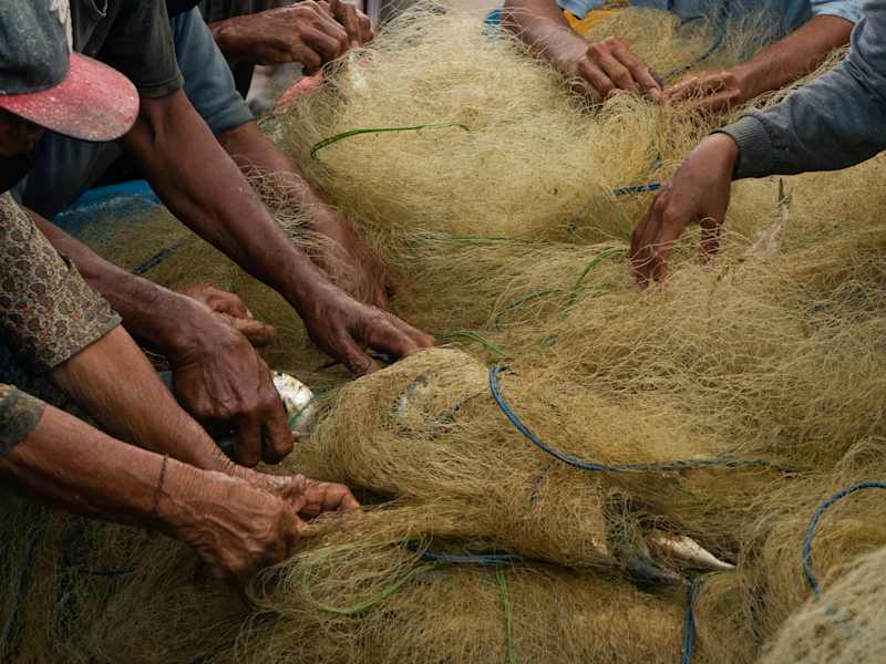 Cover image for Can Indonesia become a fisheries leader again? | China Dialogue…