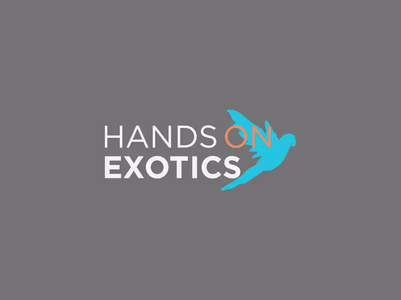 Cover image for Hands On Exotics: A Strategic Social Media Transformation