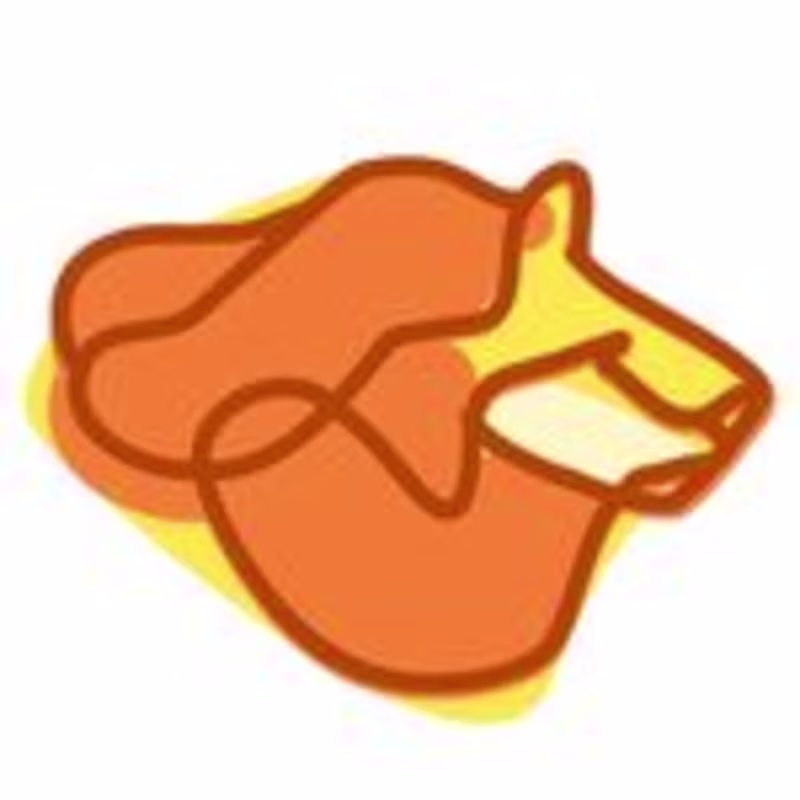 Cover image for Your Hair Journey Companion 🦁 