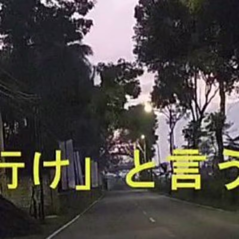 Cover image for Making a Recap/Vlog Video