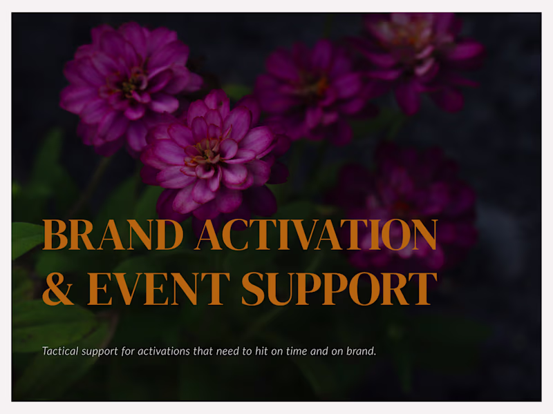 Cover image for Brand Activation & Event Support