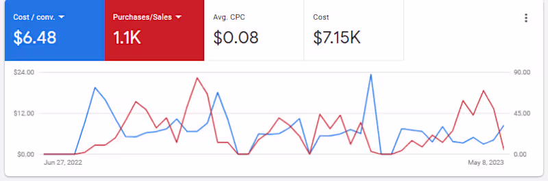 Cover image for Google Ads Success Story