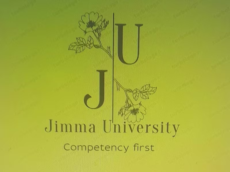 Cover image for Strategic Financial Analyst Specializing in Project Planning