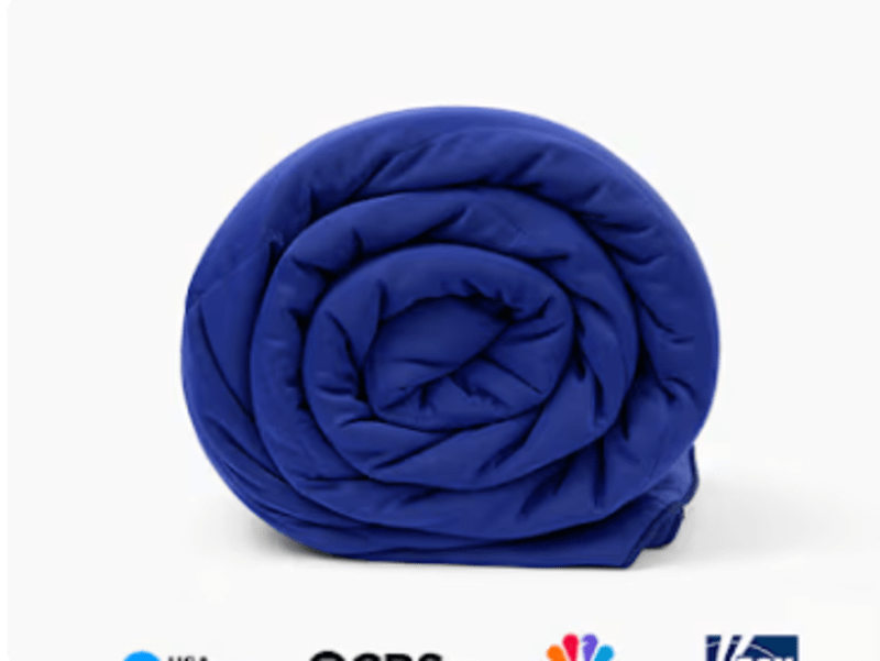 Cover image for THE ICE BLANKET