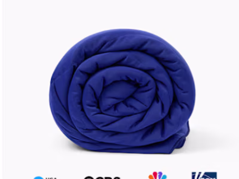 Cover image for THE ICE BLANKET