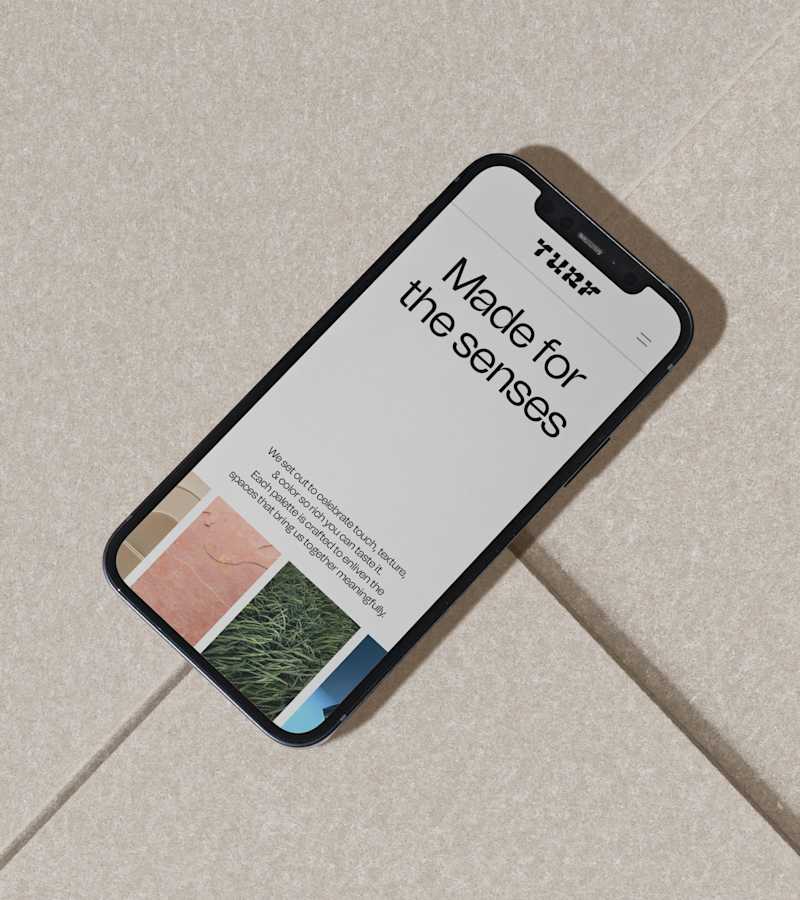 Cover image for Turf