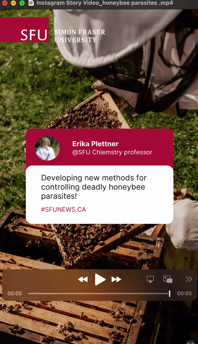 Cover image for Digital Marketing