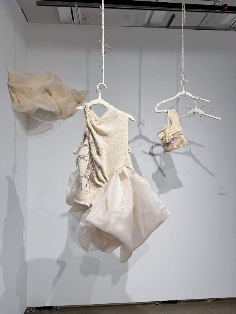Cover image for Adornment