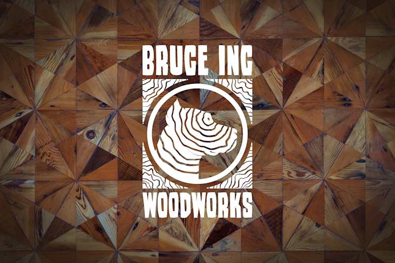 Cover image for Bruce Inc