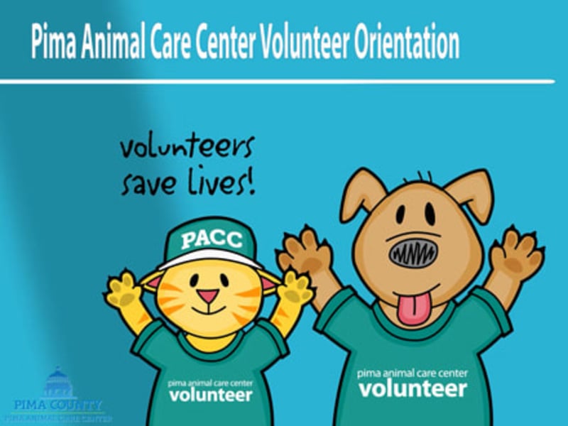 Cover image for New Volunteer Orientation